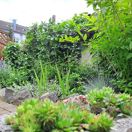 Apartment Mit Garten, 10 Min Zu Fuss In Die Koblenzer Altstadt Koblenz  Luaran gambar