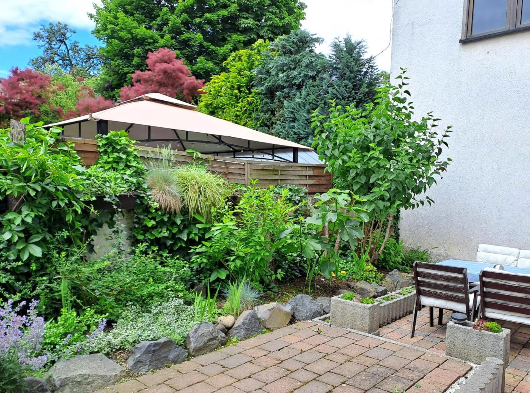 Apartment Mit Garten, 10 Min Zu Fuss In Die Koblenzer Altstadt Koblenz  Luaran gambar